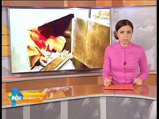 Обращение к Путину с призывом ввести войска в Саратов