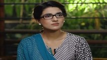 Ek Thi Misaal Episode 17 Full Hum Tv Drama 9th November 2015