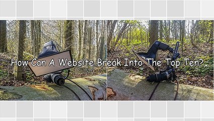 Search Engine Optimization And The Magic Fairy Dust