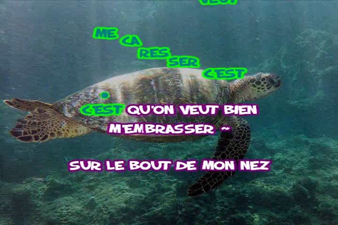 Christophe Willem La Tortue karaoké Joseph BULLA