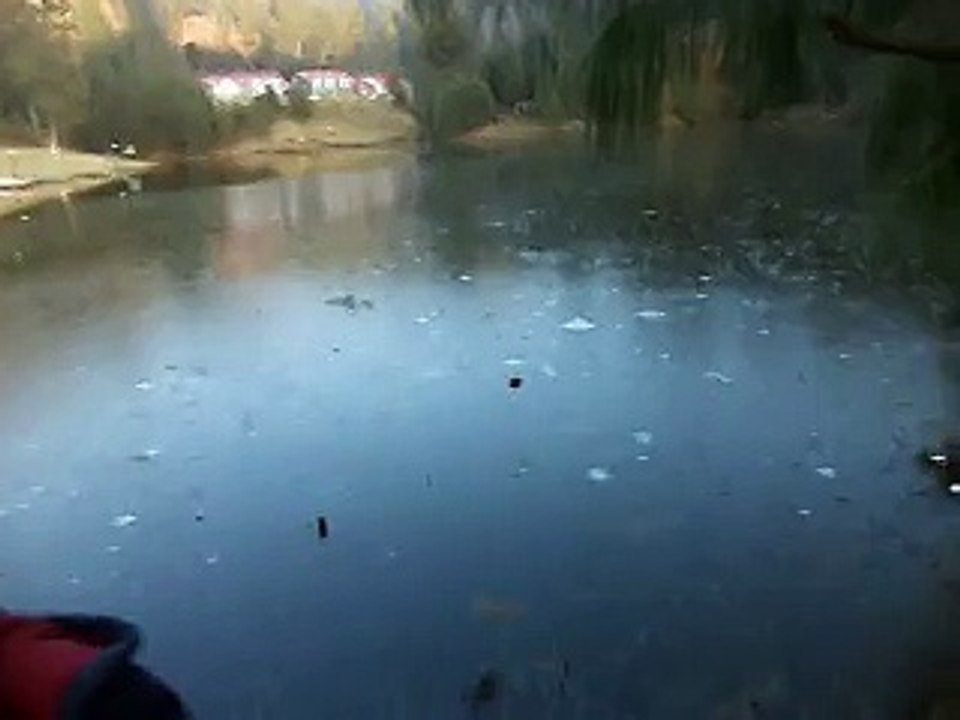 Zohaib and his Friends at kashmir trip