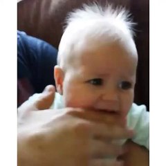 Understanding Bla Bla Bla