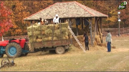 Farma 6 (10/11/2015 12:02:34 - 13:00:44)