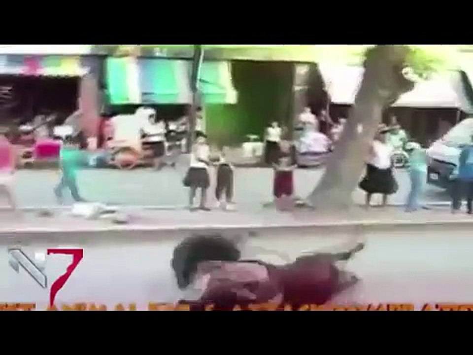 Animals Thug Life 5