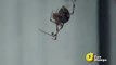Here's the Proof Even spiders hate spiders! - YouTube
