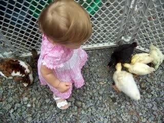 Petting Zoo at Day Care 3