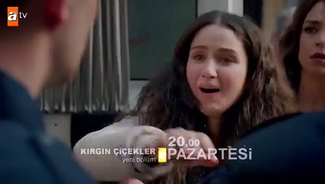Kırgın Çiçekler 21Bölüm fragman izle