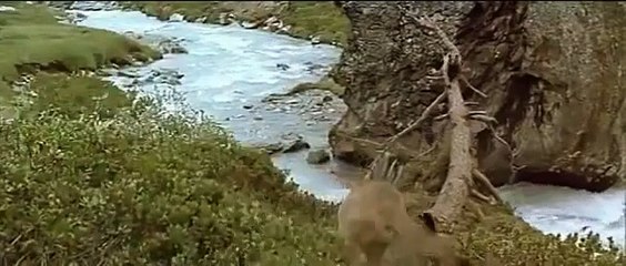 Mom Love - A Must Watch Video - Heart Touching