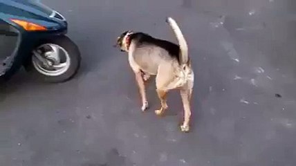 Lets Go for a Ride