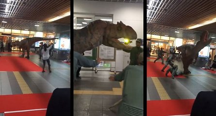 Download Video: Un T-Rex sème la terreur dans un magasin