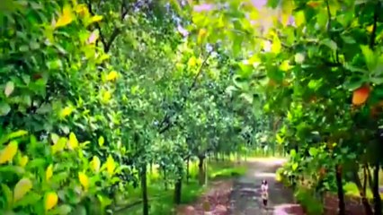 Ek Mutho Shopno Belal Khan & Mohona 720p HD