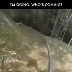 Crazy Jungle Ride and free to ride