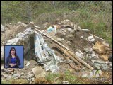 Municipio busca limpiar 164 basureros creados por los habitantes
