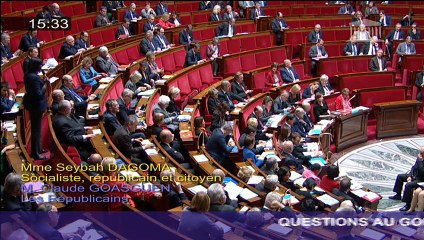 Seybah Dagoma - Question au Gouvernement - Relations commerciales avec l'Iran - 10 novembre 2015