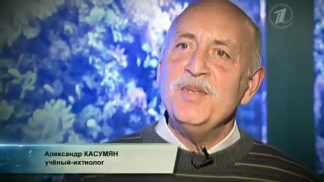 Тайные знаки конца света (фильм 1)