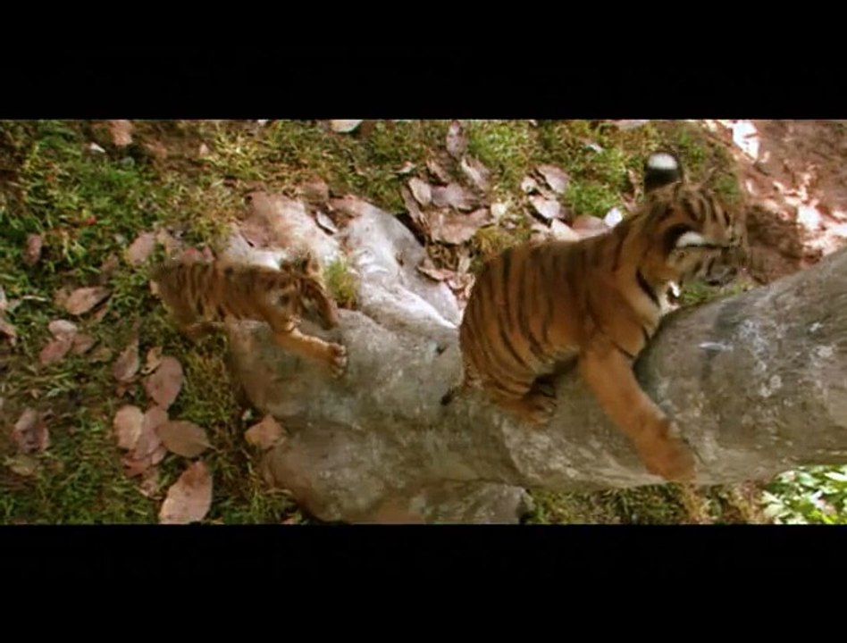 Two Brothers / Deux frères (2004) - Trailer (french subtitles)