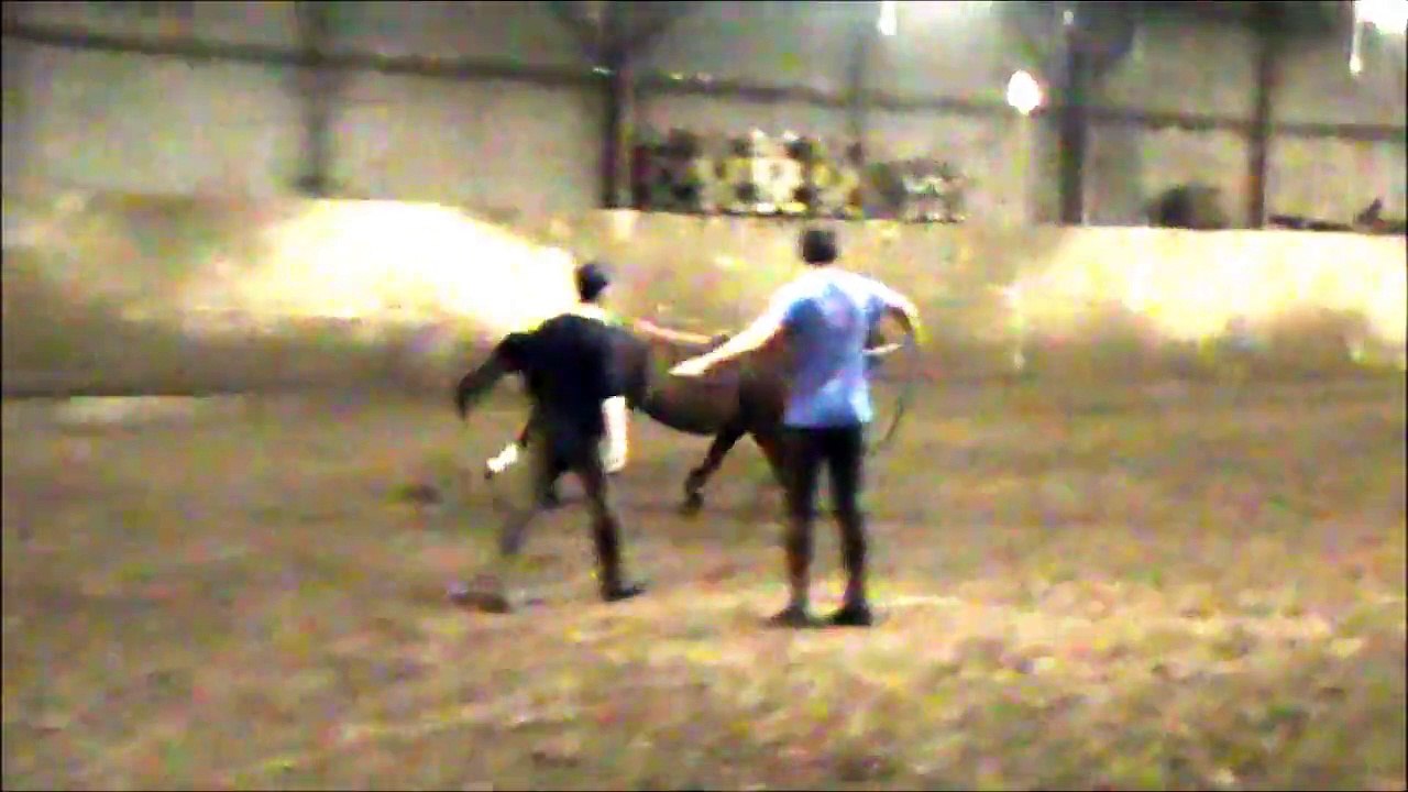 20151108 Cepage debourrage
