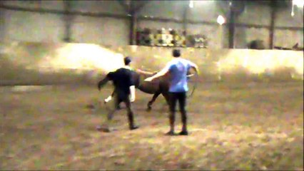 20151108 Cepage debourrage