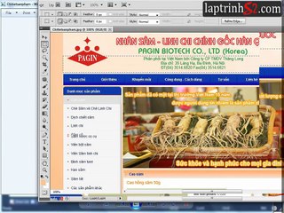 8. Xây dựng trang Master Pages