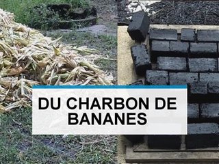 Ils transforment des bananes en charbon écologique !