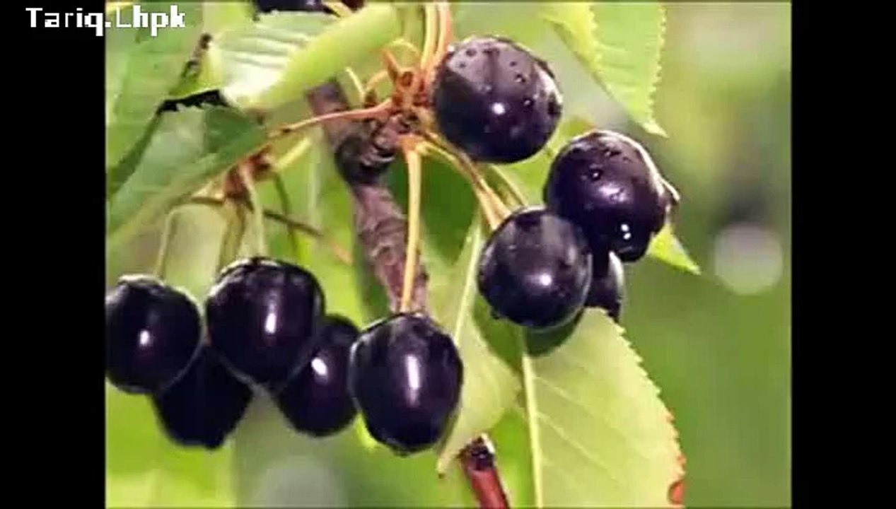 Jam making
