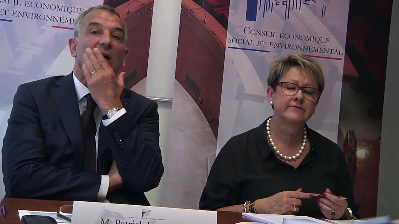 Chômeurs et Précaires : Grands Absents du CESE