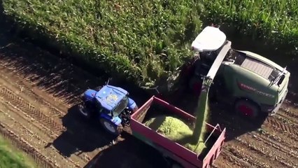 Laurent Loncle d'Advanta : "Investir dans la génétique maïs fourrage pour améliorer la rentabilité de son élevage."