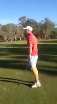 Golfeurs chassés par un Kangourou en colère!