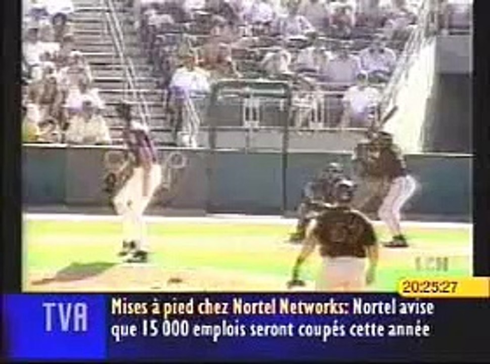Bird Hit