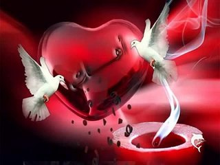 Amore guardami