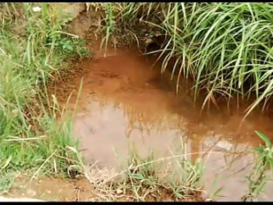 ÁGUAS CLARAS