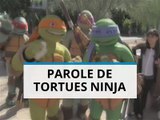 Arizona : quand les tortues ninja s'invitent à la fête