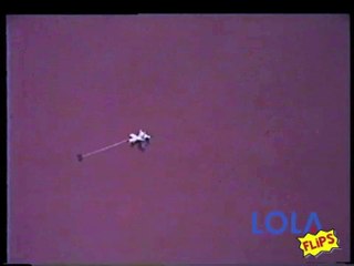 Unbelievable Fly Pulls Toy Plane!