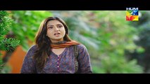 Ek Thi Misaal Episode 18 Full on Hum tv 10th November 2015