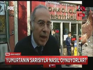 Sağlığımızla böyle oynuyorlar Yumurtanın sarısını katalogdan ayarlıyorlar