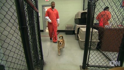 Inmates and dogs train and bond in jail