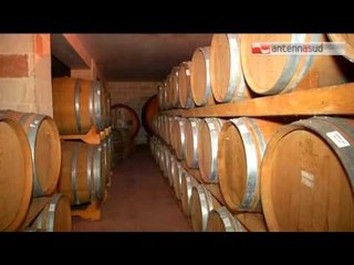 Tg Antenna Sud -  E' il momento del vino novello