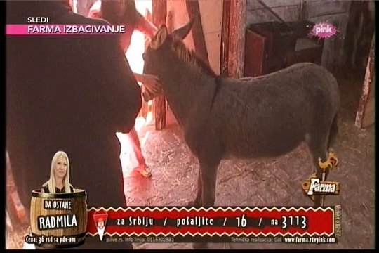 Stanija i magarence Oki! #Farma 6 /08.11.2015.