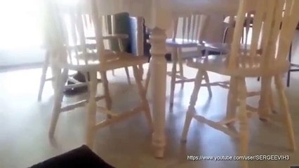 Funny videos - Fails/Wins compilation July 2015 #6