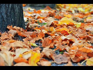 y tu te fuiste modificado-1