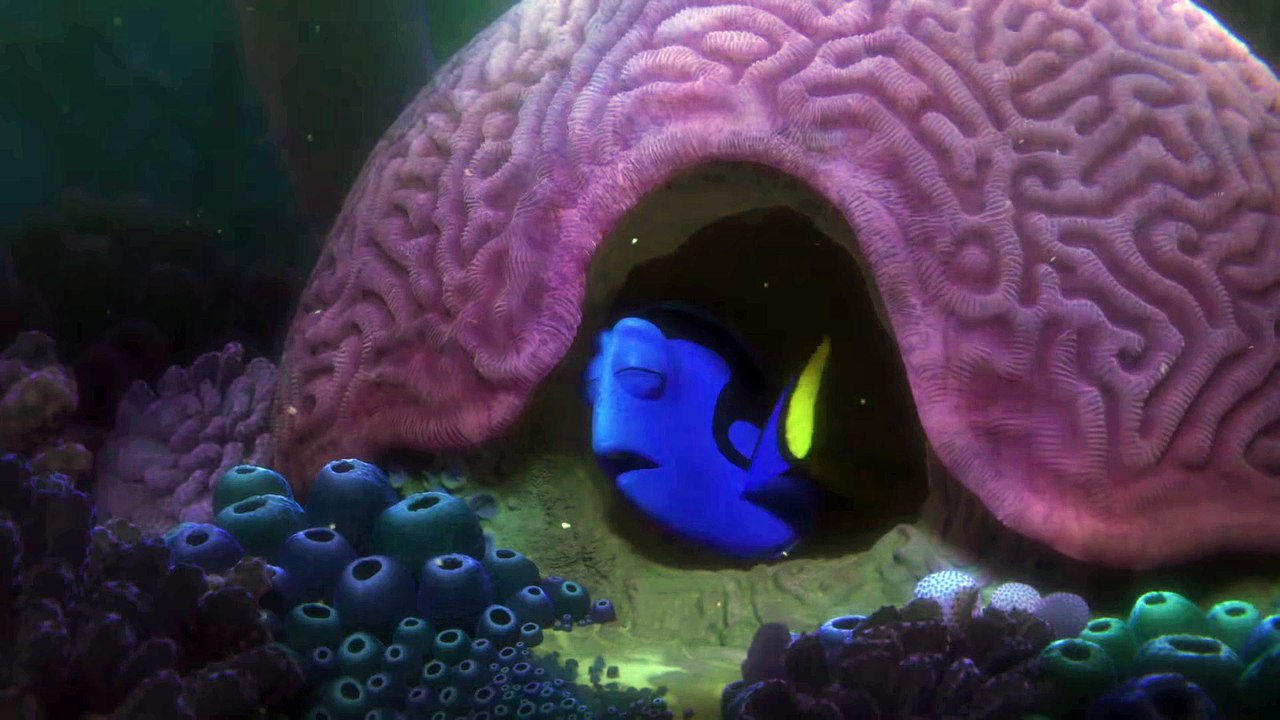 Finding Dory