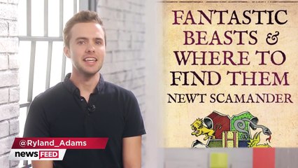 Harry Potter Spinoff Fantastic Beasts First Look
