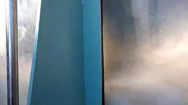 L'ours du Marineland d'Antibes, un mois après les inondations