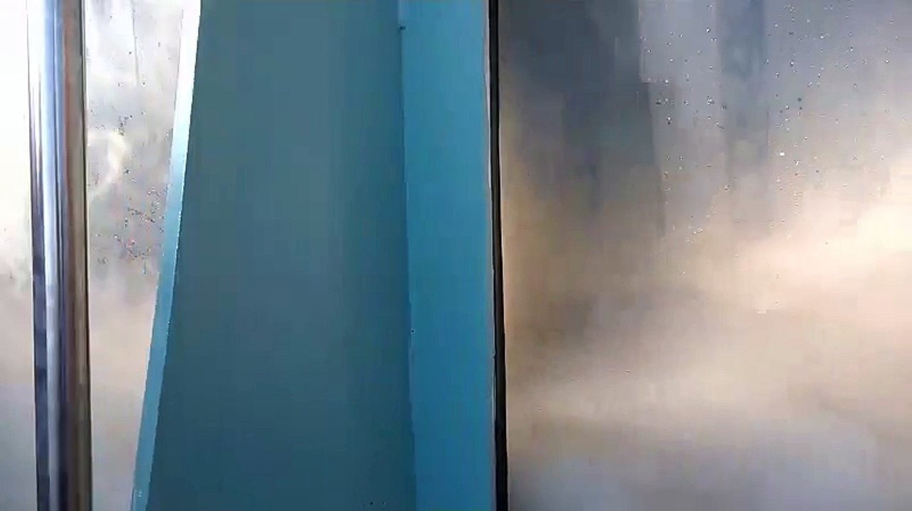 L'ours du Marineland d'Antibes, un mois après les inondations