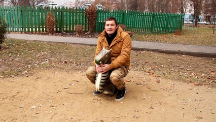 2 Дебил Шоу #30 - Как в кино