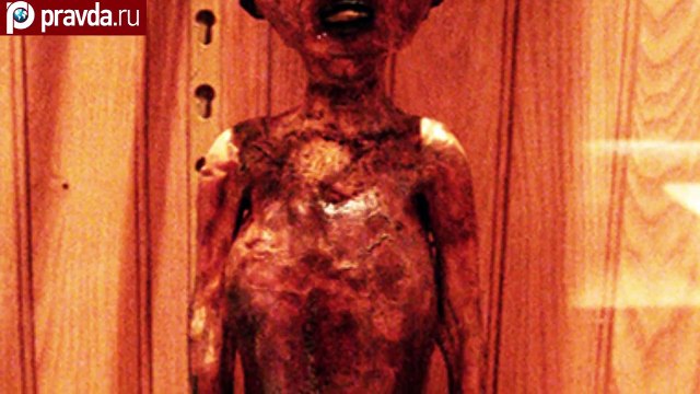 Самый страшный музей мира