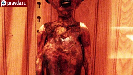 Самый страшный музей мира