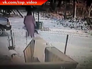 Не стоило пинать этого кота