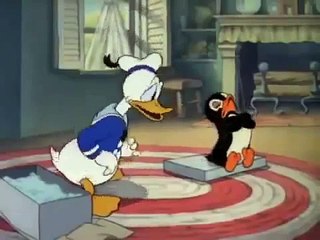Pato donald El pinguino de Donald. Dibujos animados de Disney espanol latino.