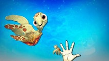 Finding Nemo Cartoon Full Finger Family Children Nursery Rhymes _ Finding Nemo Finger Family Rhymes